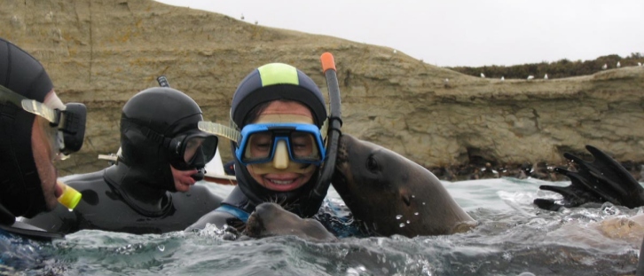 Snorkelling with Sea Lions