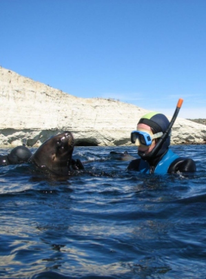 Snorkelling with Sea Lions