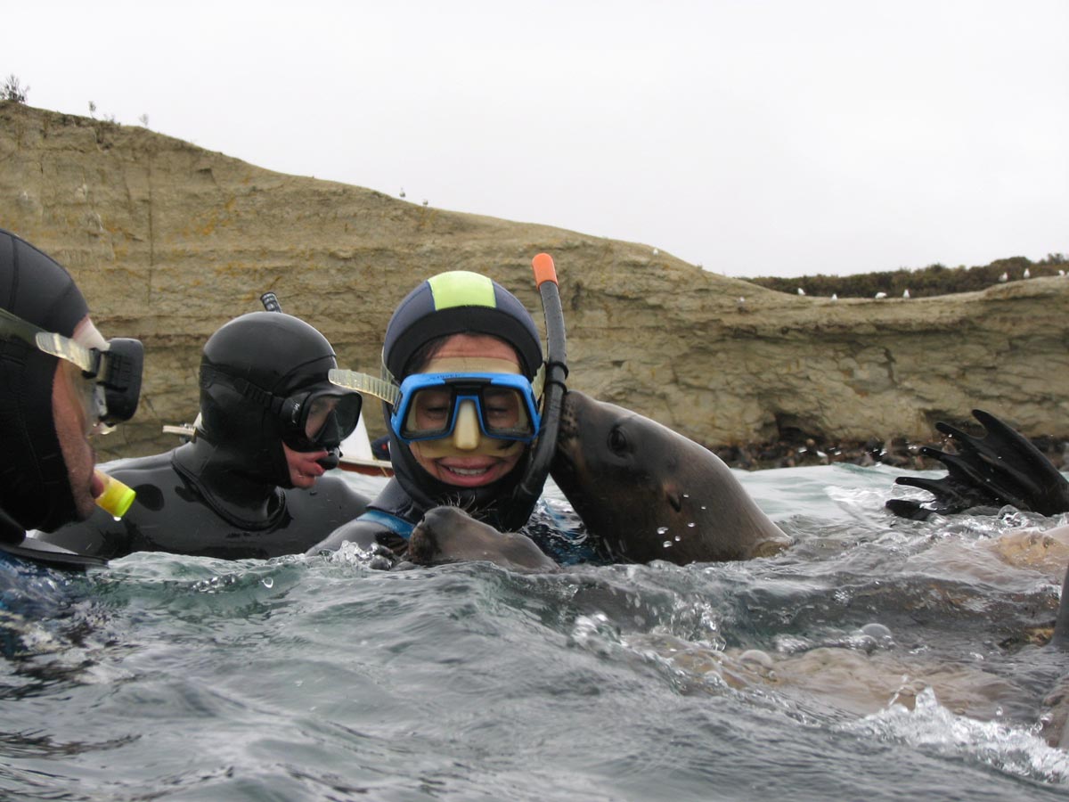 Snorkeling with Playful Sea Lions