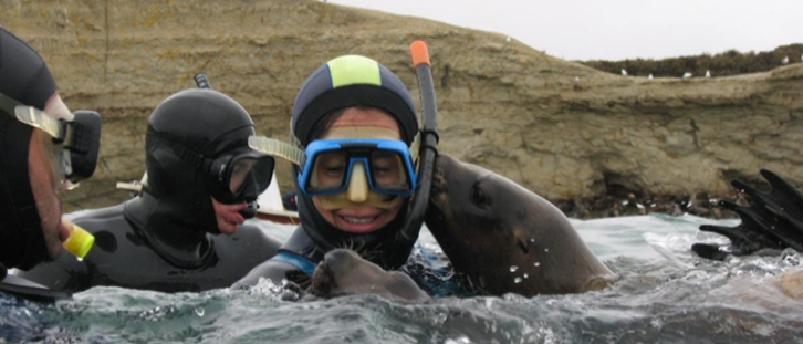 Snorkelling Lobos Marinos