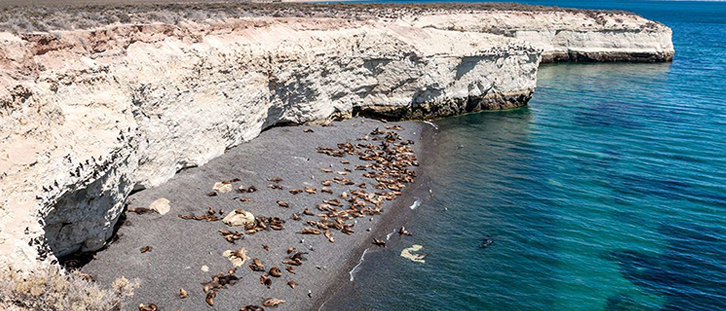 Punta Loma Lobería 